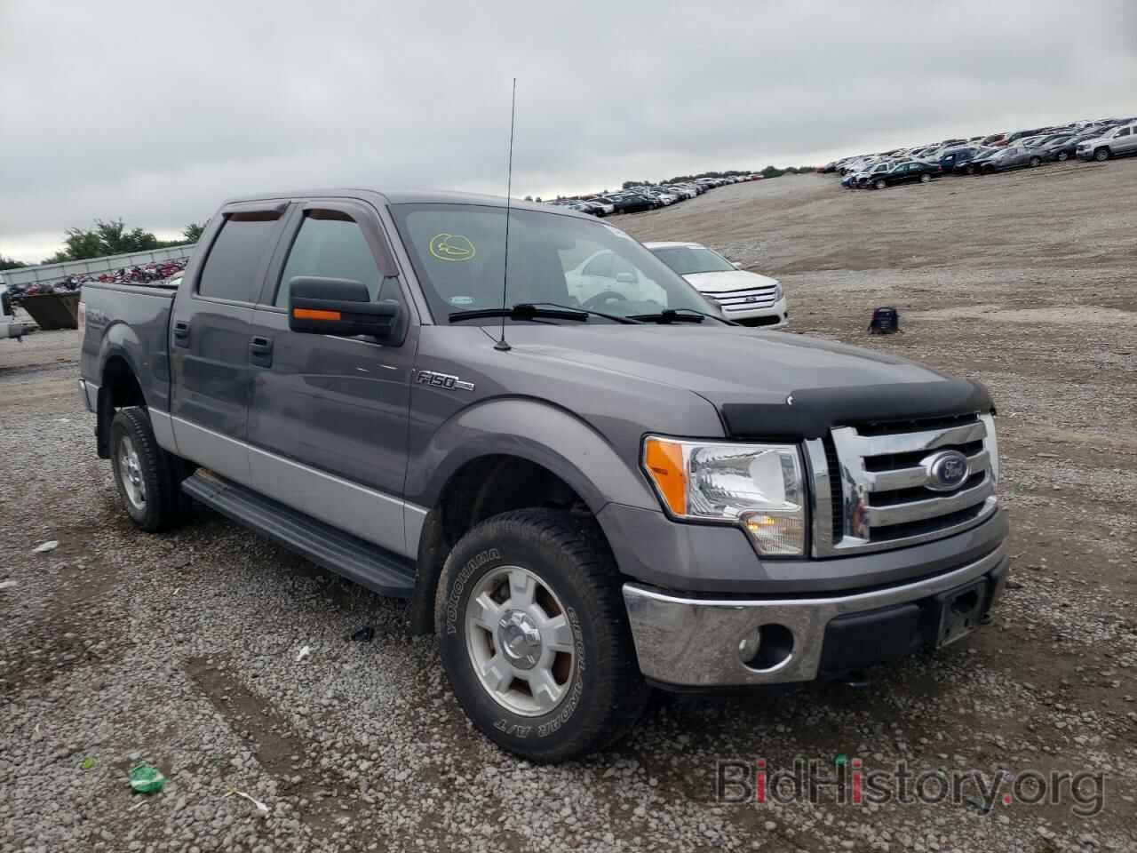 Photo 1FTEW1E89AKB56875 - FORD F-150 2010