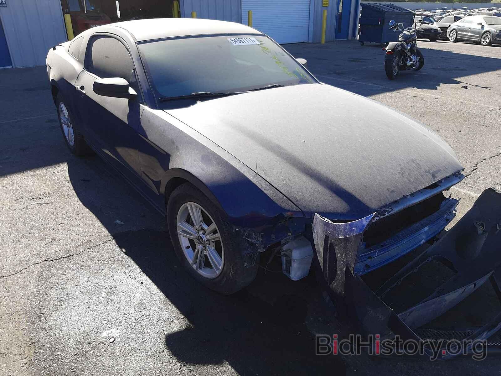 Photo 1ZVBP8AM4E5327643 - FORD MUSTANG 2014