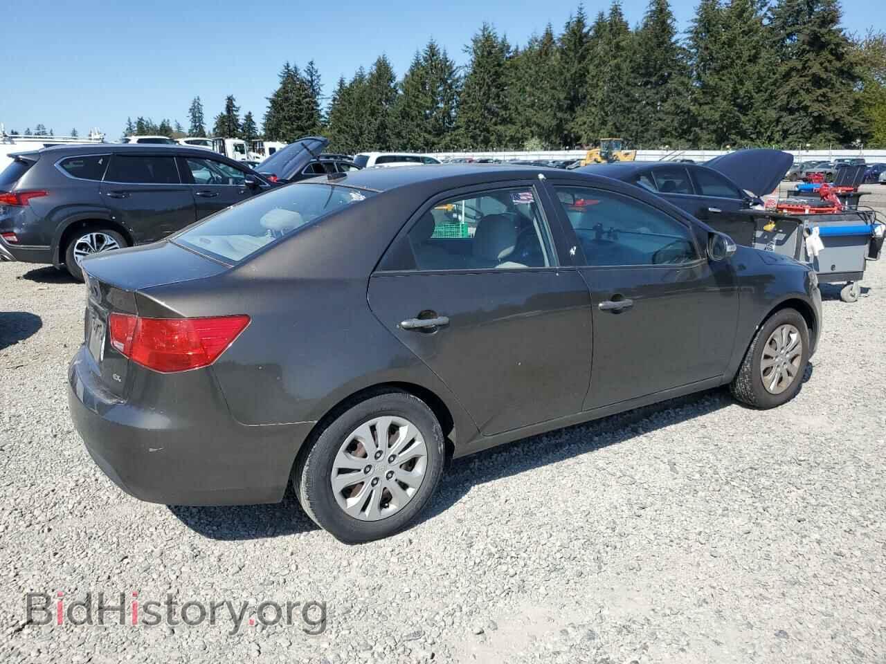2010 KIA FORTE - VIN: KNAFU4A24A5214688 - Фото 3