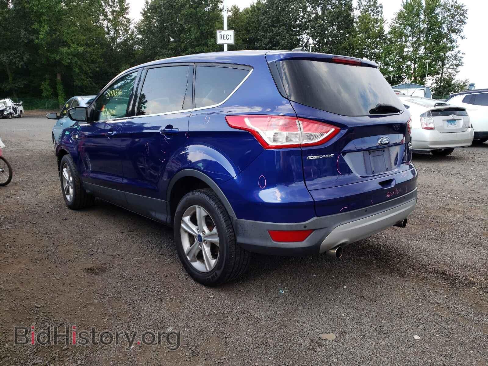 2013 FORD ESCAPE - VIN: 1FMCU0GX8DUC88008 - Фото 3