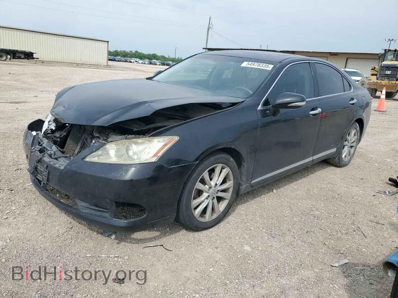Фотография JTHBK1EG3A2368286 - LEXUS ES350 2010