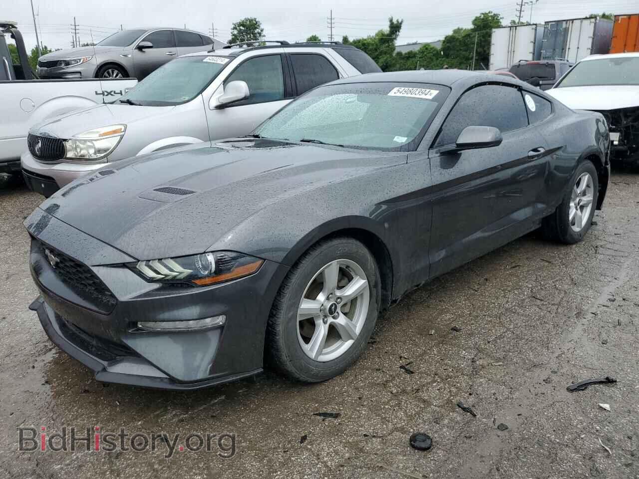 Фотография 1FA6P8TH3K5101552 - FORD ALL Models 2019