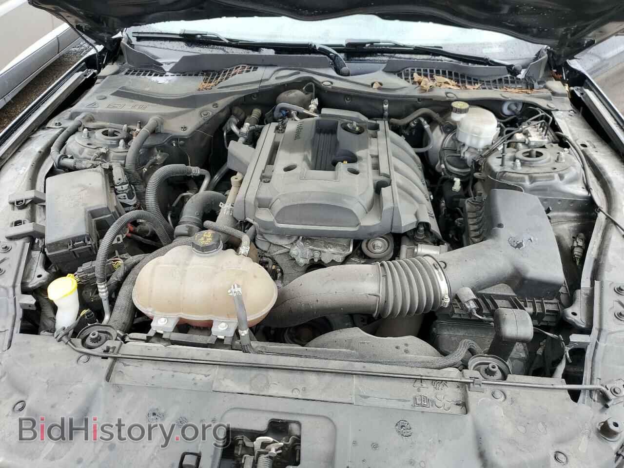2019 FORD ALL Models - VIN: 1FA6P8TH3K5101552 - Фото 11