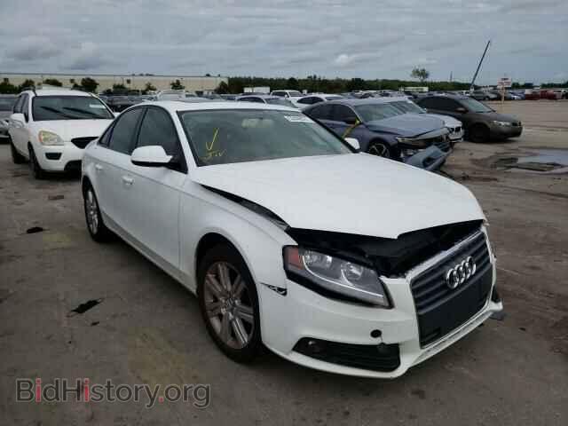 2011 Audi A4 A4 Premium (VIN WAUAFAFL0BN042312) — фото 1 из 10, Copart, повреждение: передняя часть
