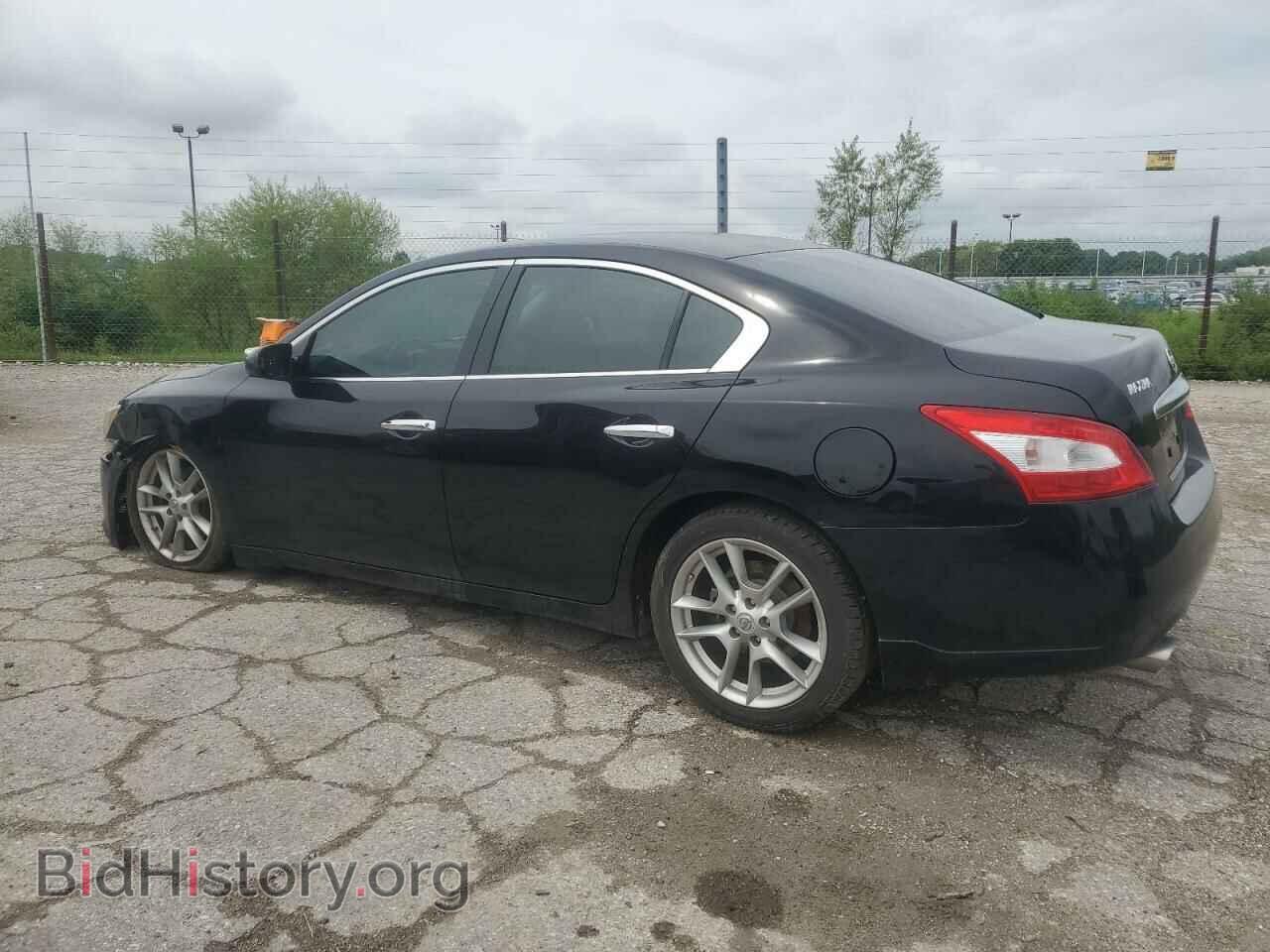 2009 NISSAN MAXIMA - VIN: 1N4AA51E89C851537 - Фото 2