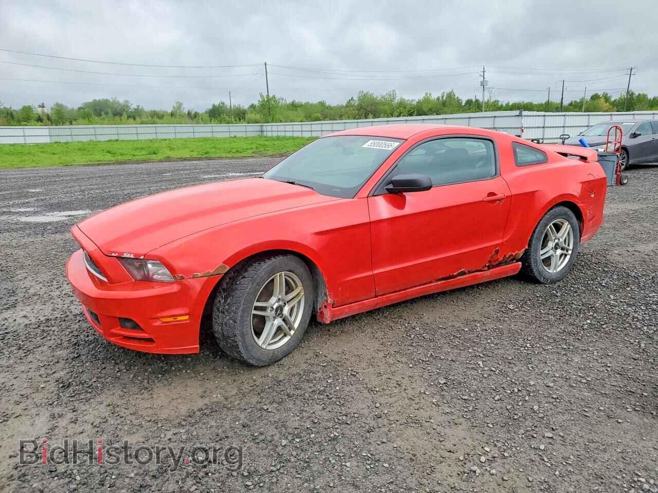 Photo 1ZVBP8AM8E5244250 - FORD MUSTANG 2014