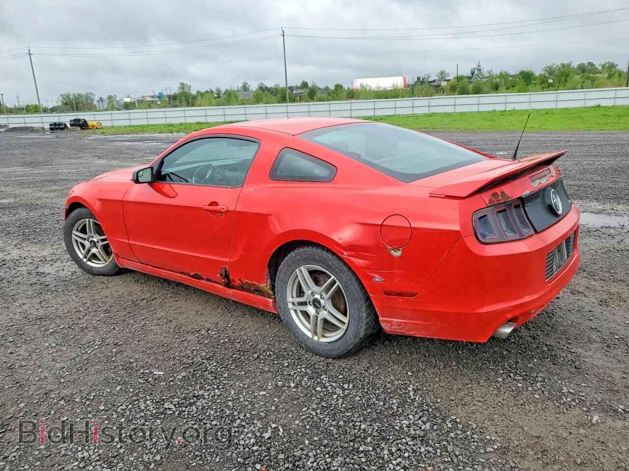 2014 FORD MUSTANG - VIN: 1ZVBP8AM8E5244250 - Фото 2
