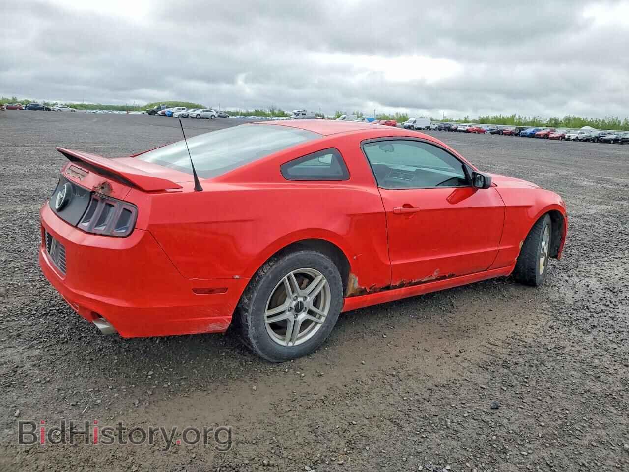 2014 FORD MUSTANG - VIN: 1ZVBP8AM8E5244250 - Фото 3