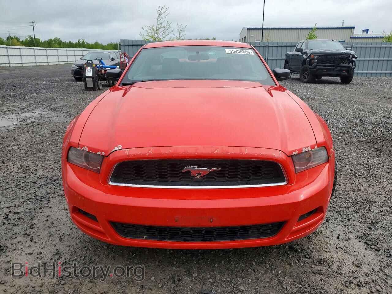 2014 FORD MUSTANG - VIN: 1ZVBP8AM8E5244250 - Фото 5