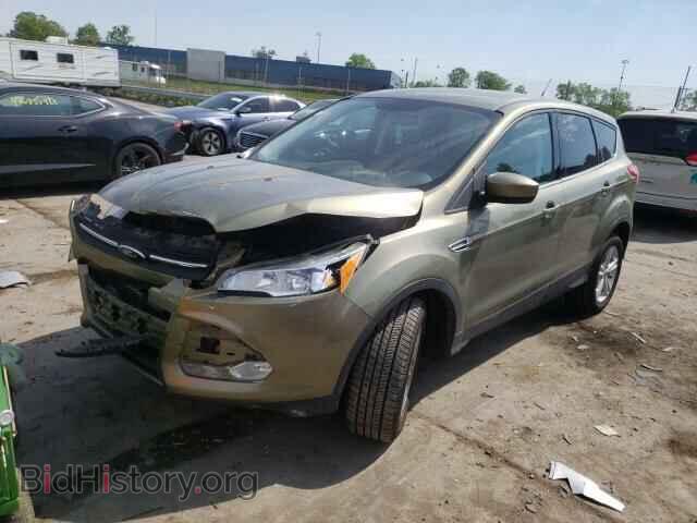 2013 FORD ESCAPE - VIN: 1FMCU0GX3DUD23246 - Фото 2