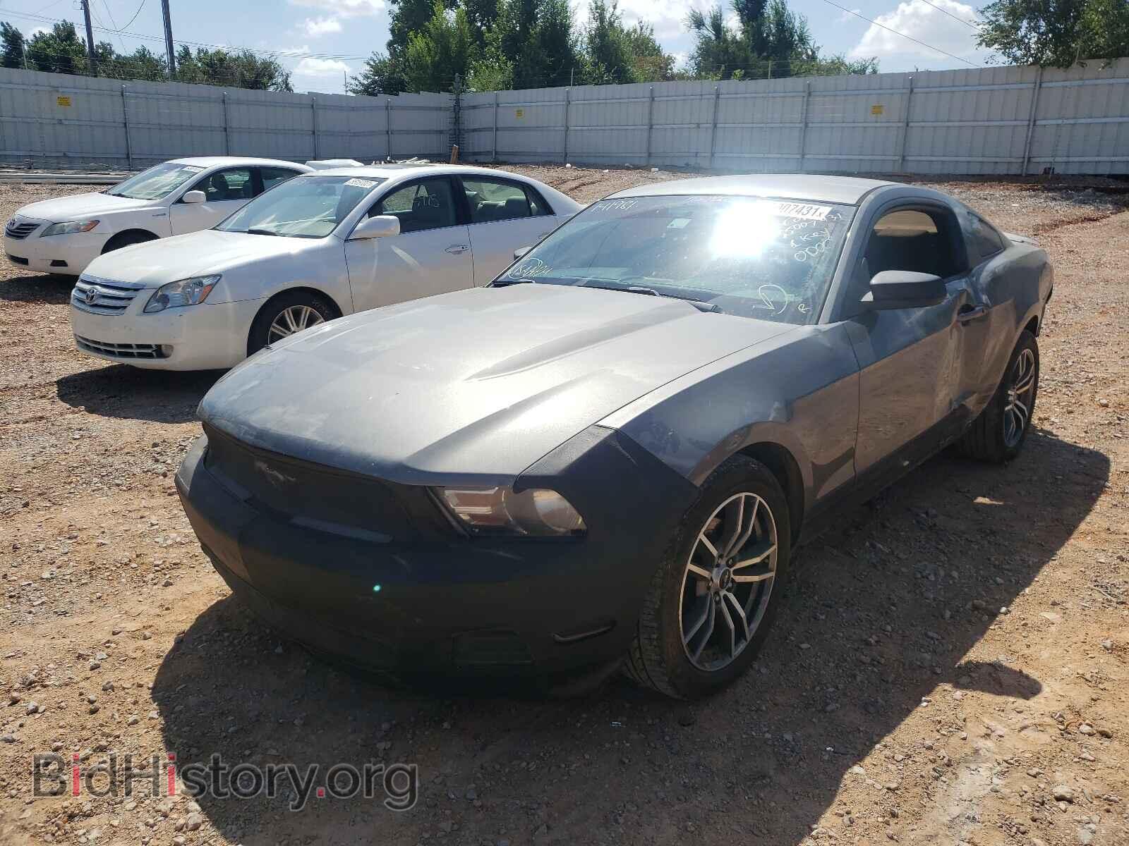 2011 FORD MUSTANG - VIN: 1ZVBP8AM9B5141981 - Фото 2
