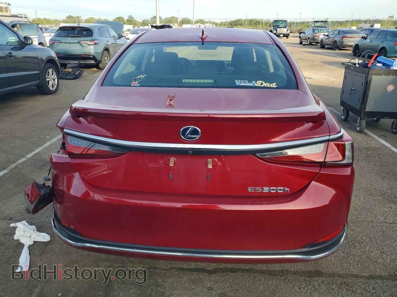 2019 LEXUS ES300 - VIN: JTHB21B14K2014472 - Фото 6