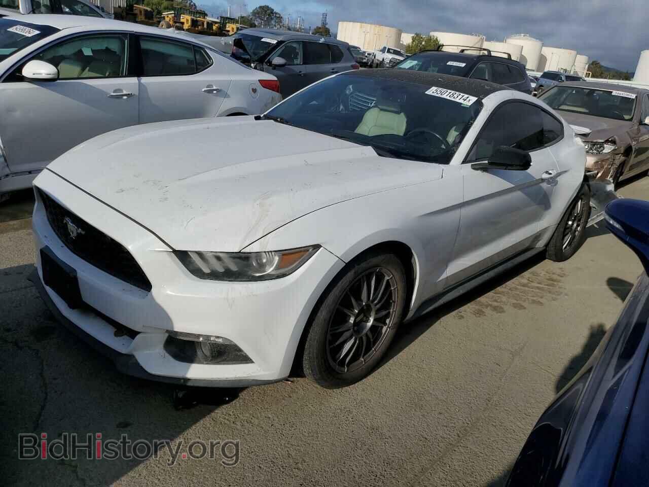Фотография 1FA6P8TH2F5339768 - FORD ALL Models 2015