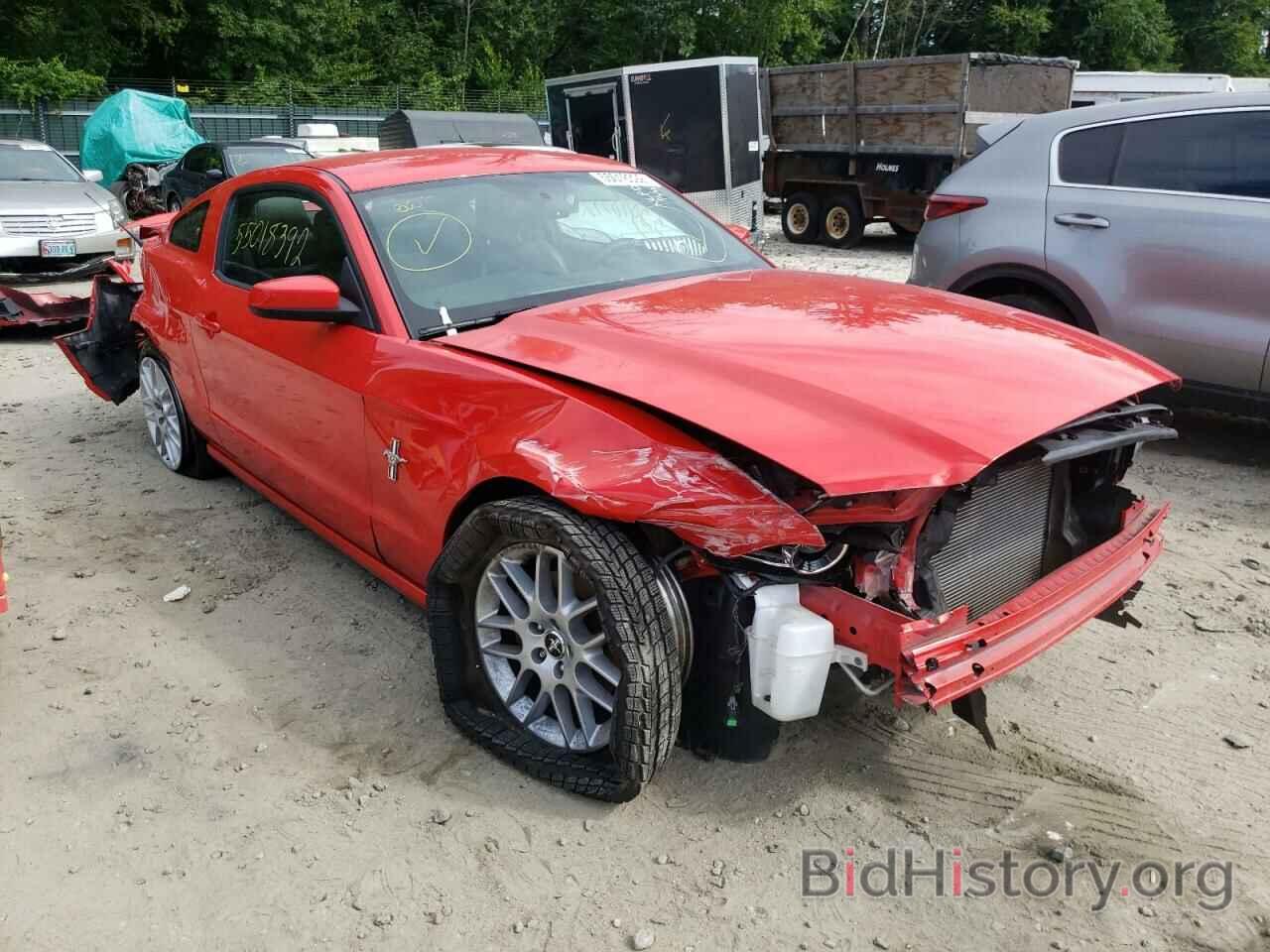 Photo 1ZVBP8AM7D5268859 - FORD MUSTANG 2013