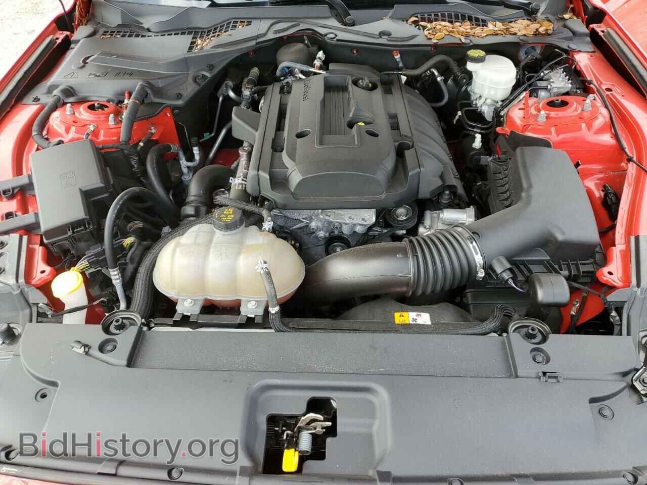2017 FORD ALL Models - VIN: 1FA6P8TH7H5280462 - Photo 11