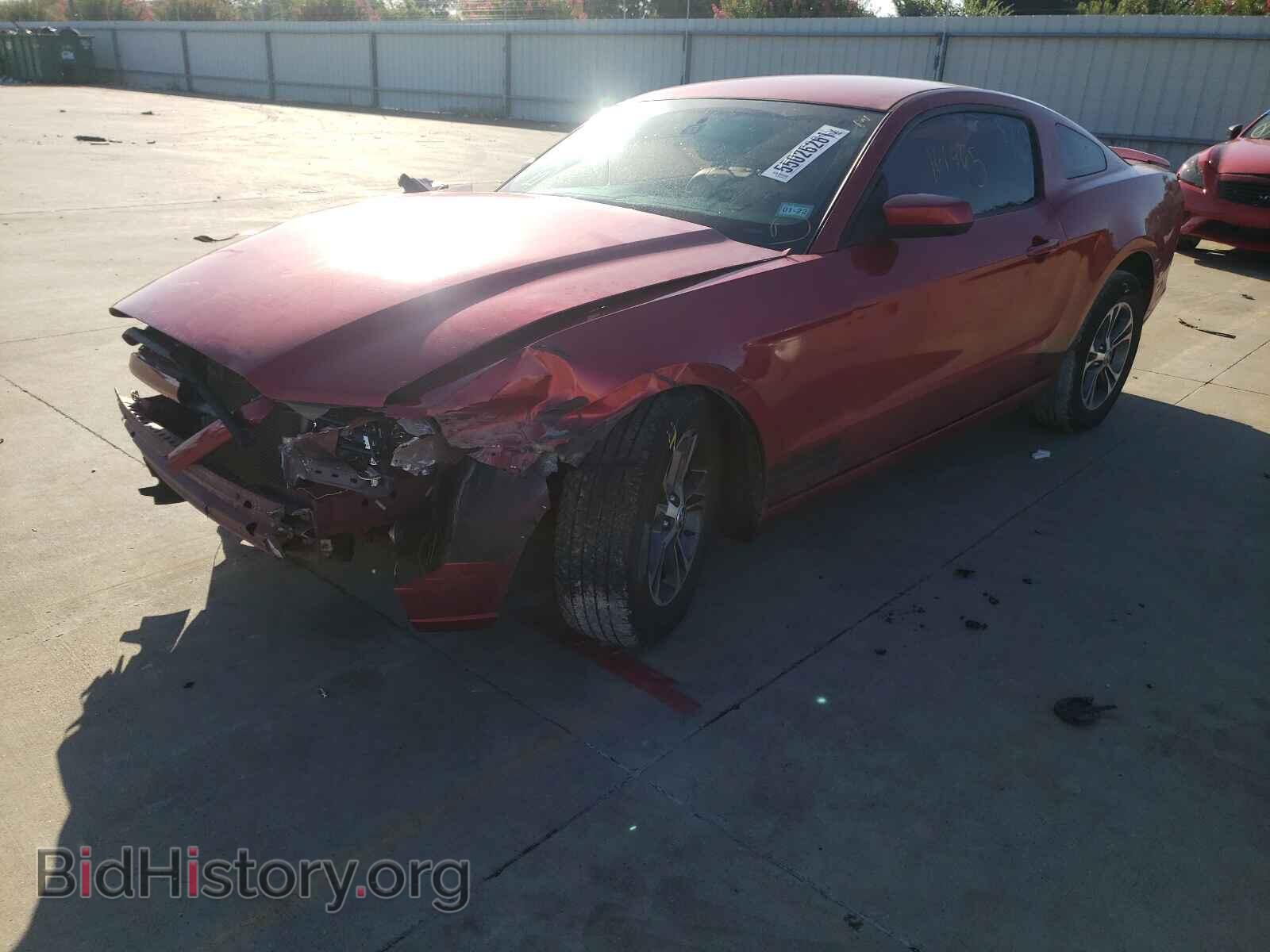 2013 FORD MUSTANG - VIN: 1ZVBP8AM0D5242135 - Фото 2