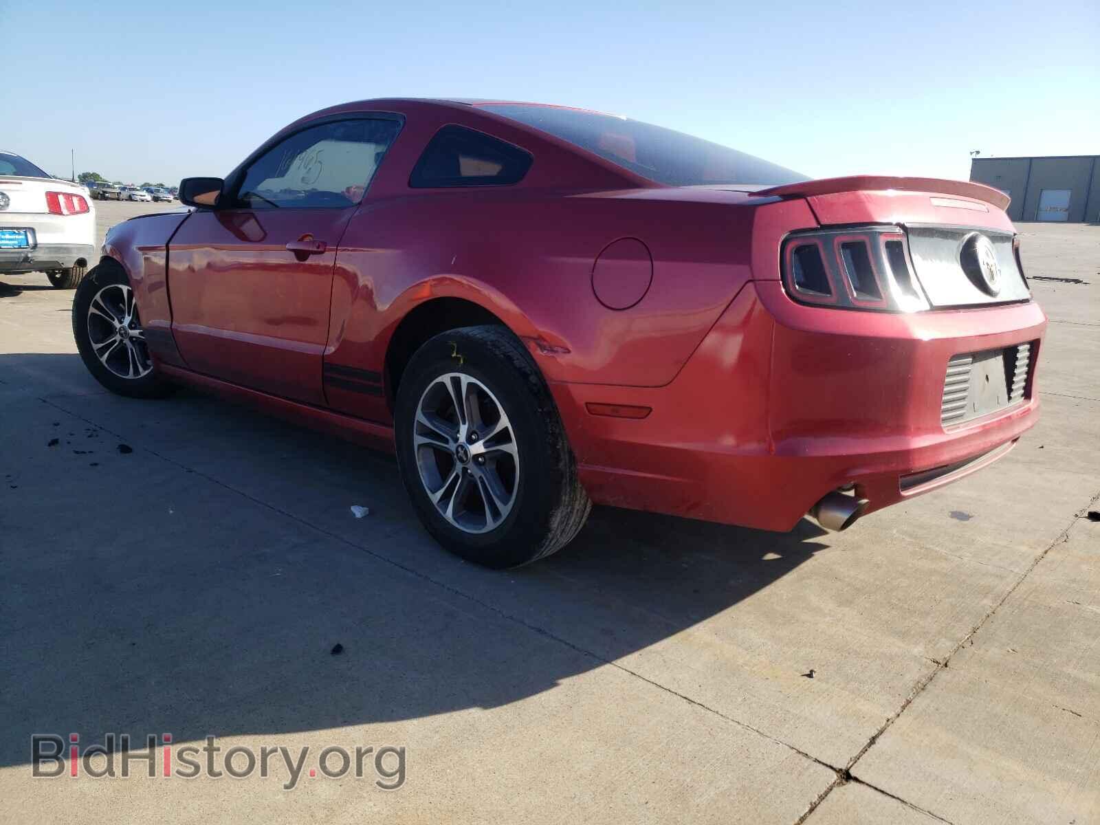 2013 FORD MUSTANG - VIN: 1ZVBP8AM0D5242135 - Фото 3