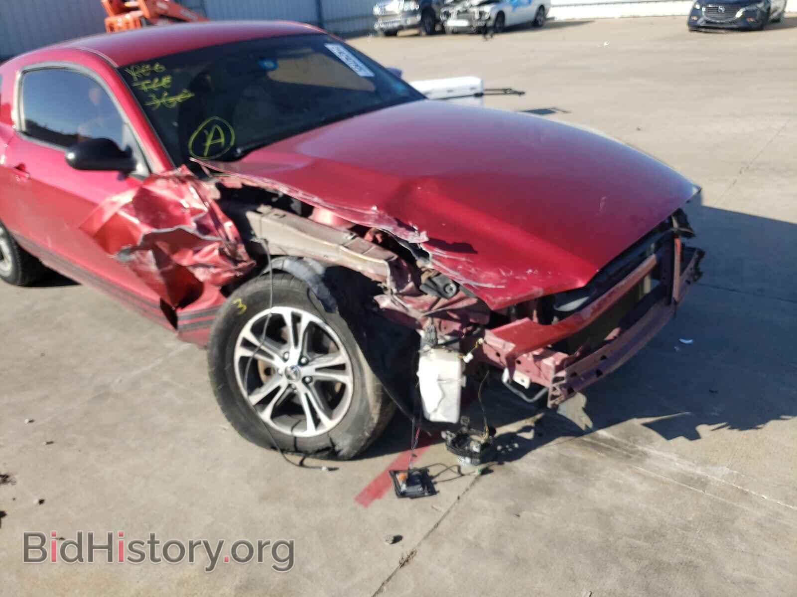 2013 FORD MUSTANG - VIN: 1ZVBP8AM0D5242135 - Фото 9