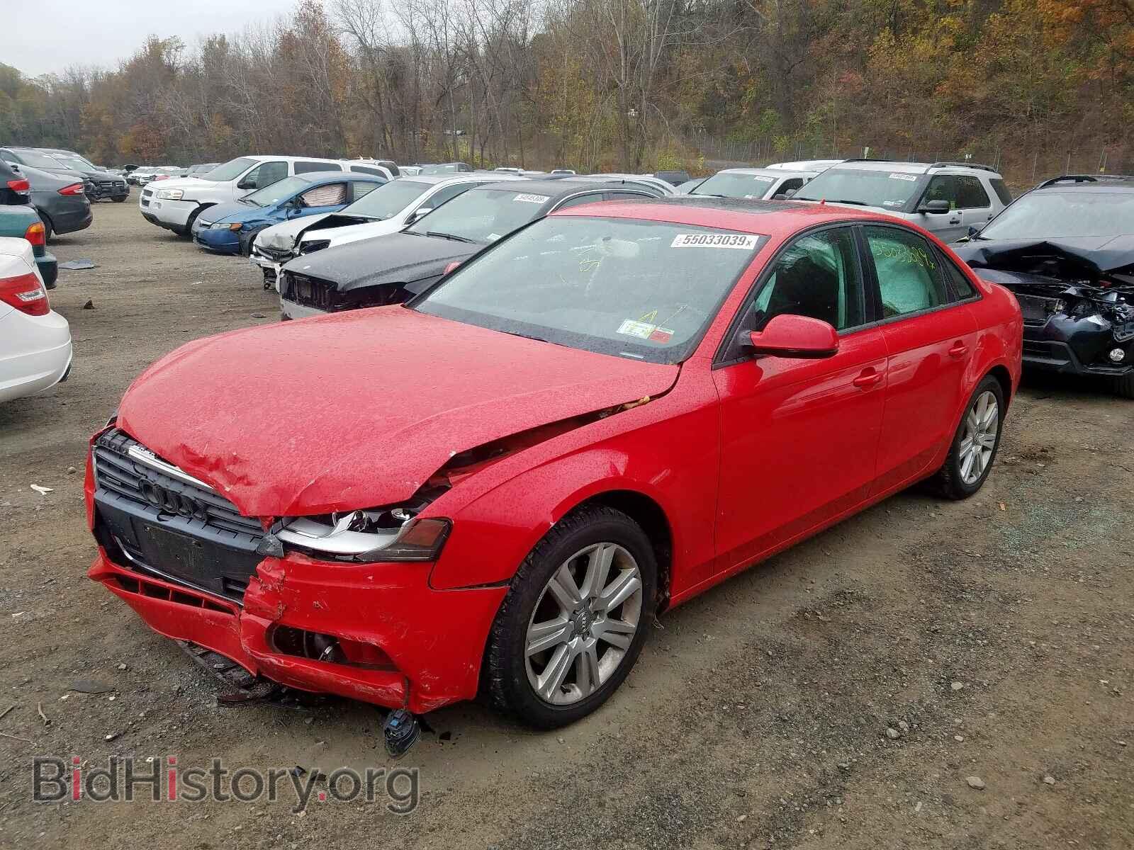 2010 AUDI A4 - VIN: WAUBFAFL4AN067264 - Фото 2