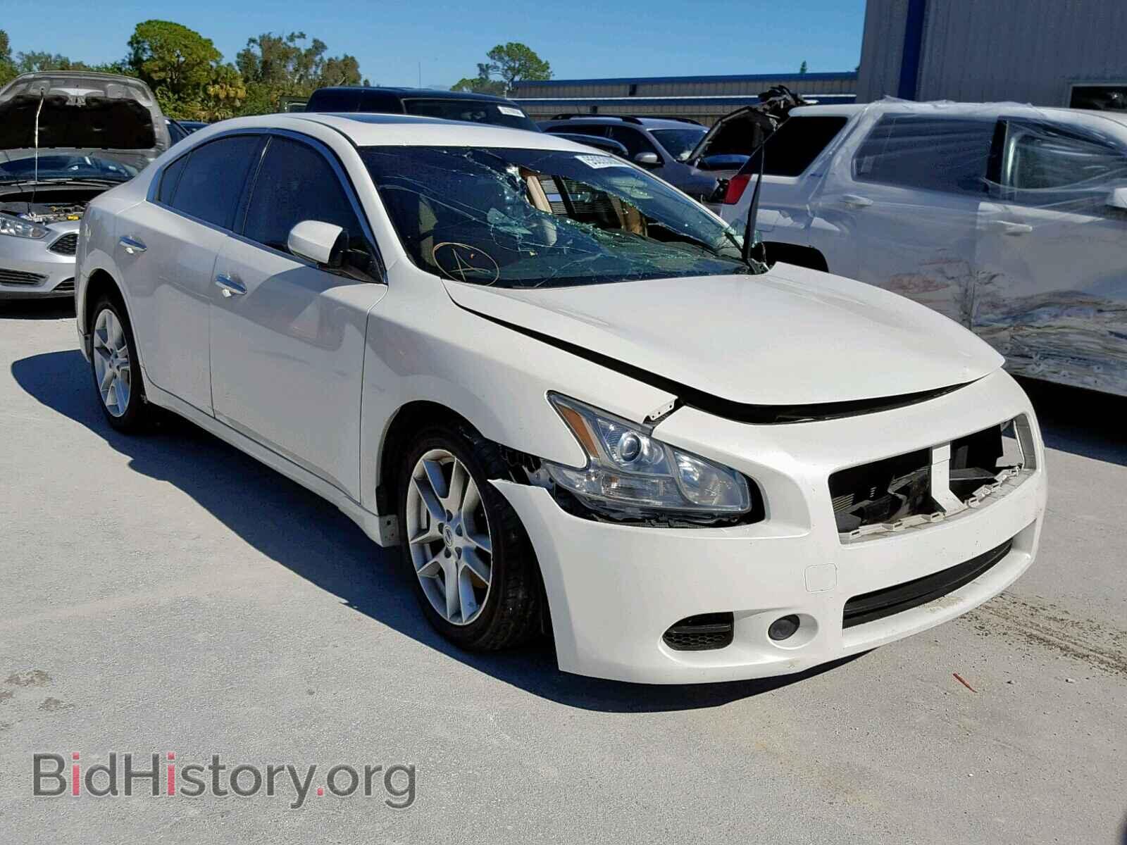 Photo 1N4AA5AP9BC856494 - NISSAN MAXIMA S 2011