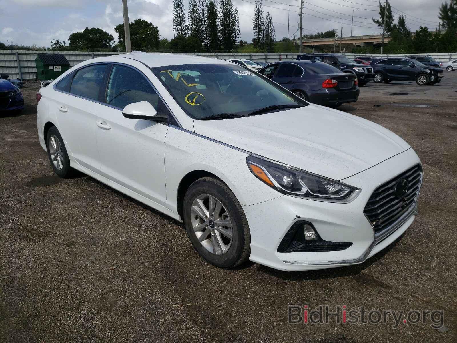 Photo 5NPE24AF2KH736647 - HYUNDAI SONATA 2019