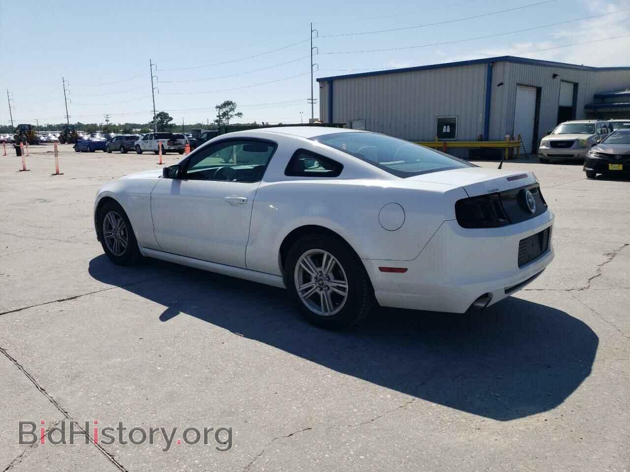 2014 FORD ALL Models - VIN: 1ZVBP8AM2E5228223 - Фото 2