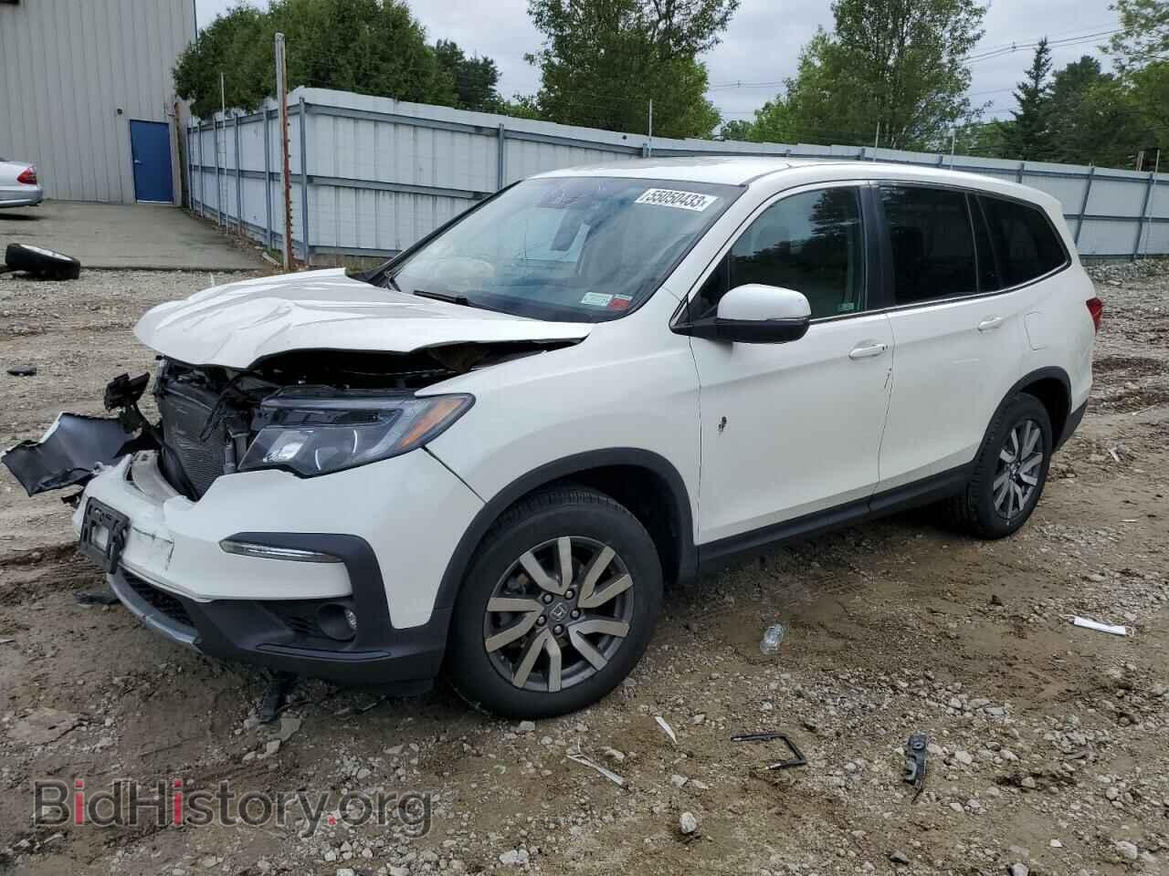 Фотография 5FNYF6H32KB016014 - HONDA PILOT 2019