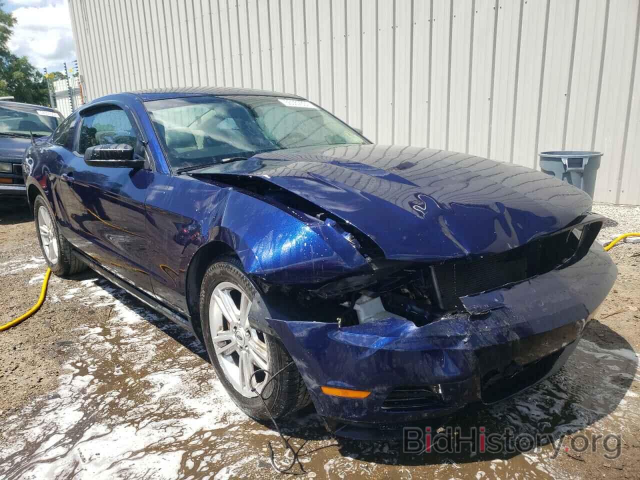Photo 1ZVBP8AN3A5128134 - FORD MUSTANG 2010