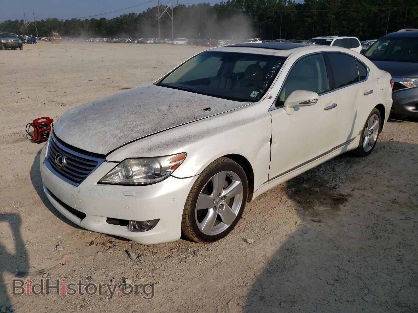 2010 LEXUS LS460 - VIN: JTHBL5EF6A5097847 - Фото 2