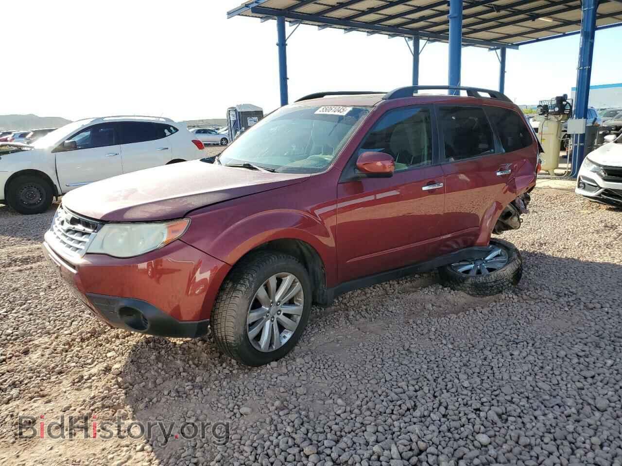Photo JF2SHBDC2BH763029 - SUBARU FORESTER 2011