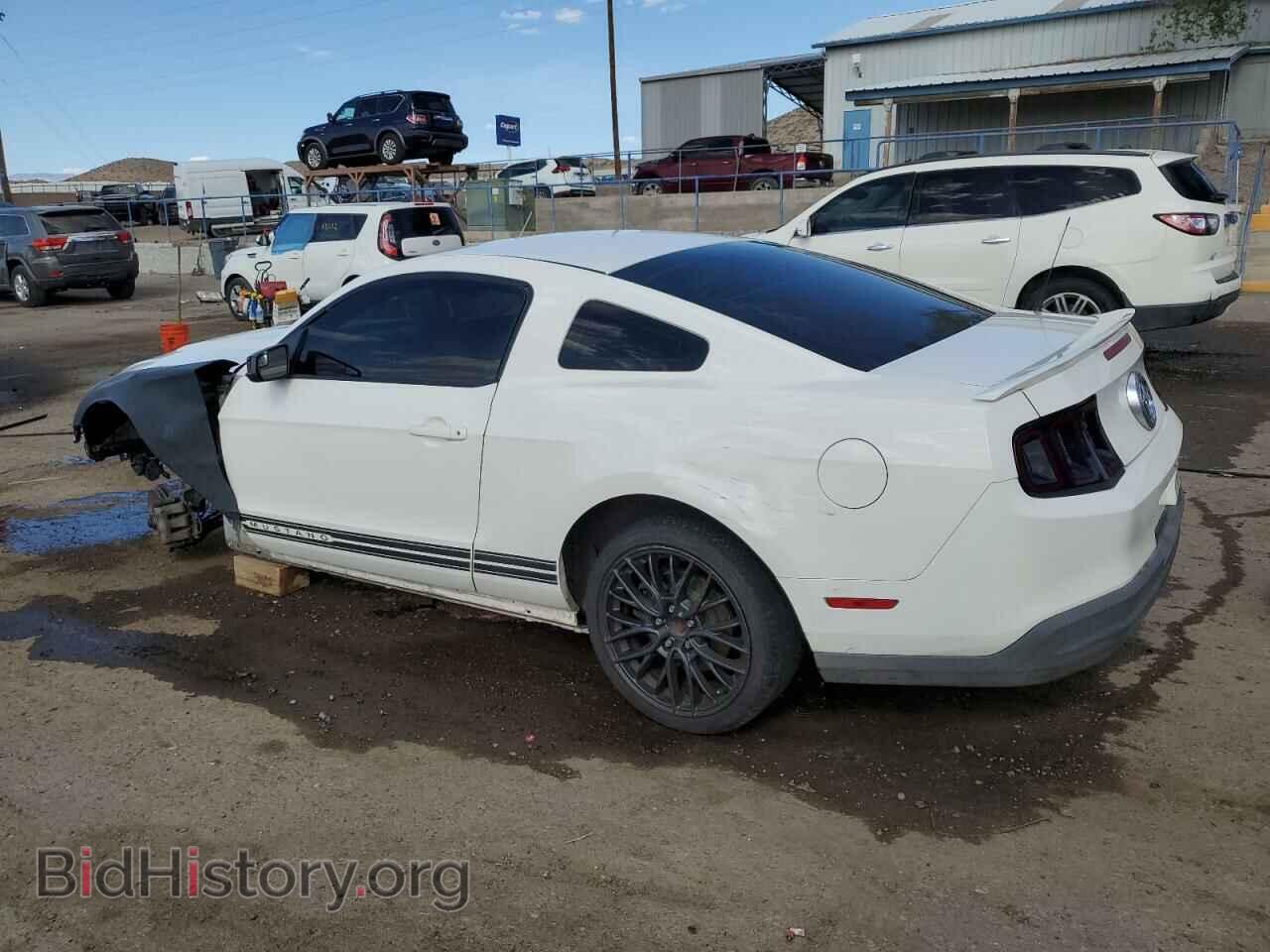 2010 FORD ALL Models - VIN: 1ZVBP8AN8A5125021 - Фото 2