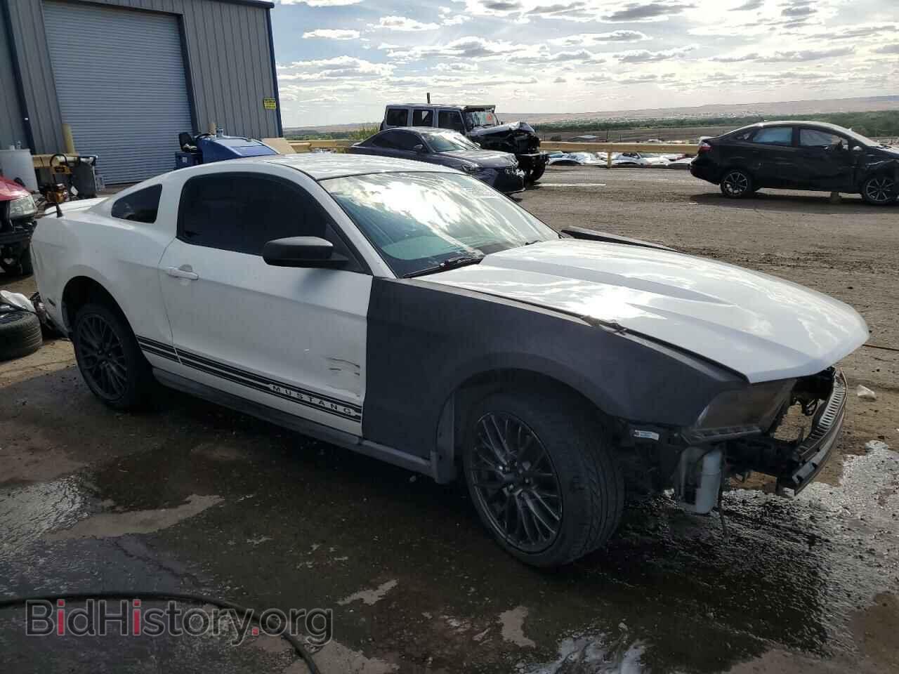 2010 FORD ALL Models - VIN: 1ZVBP8AN8A5125021 - Фото 4