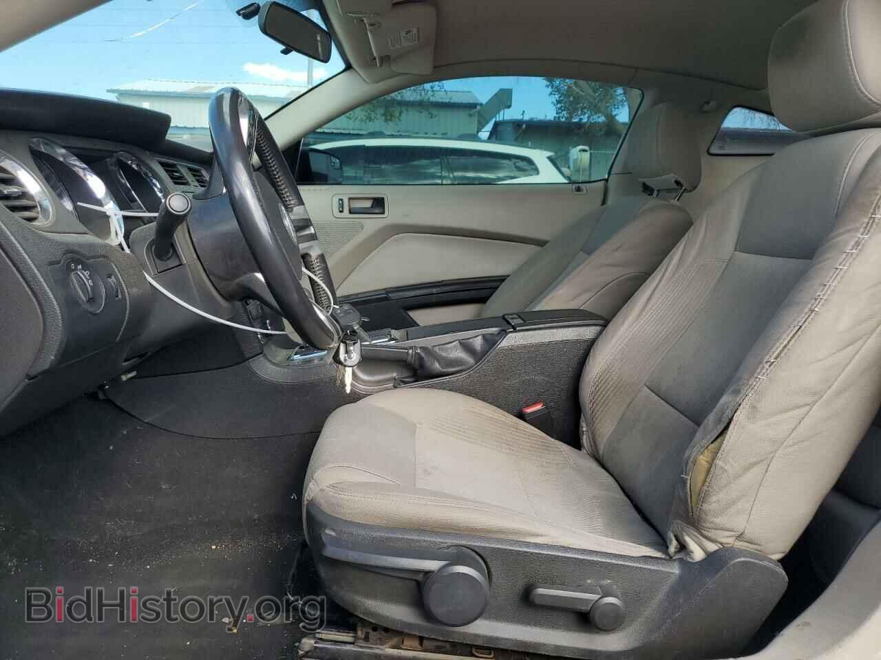 2010 FORD ALL Models - VIN: 1ZVBP8AN8A5125021 - Фото 7