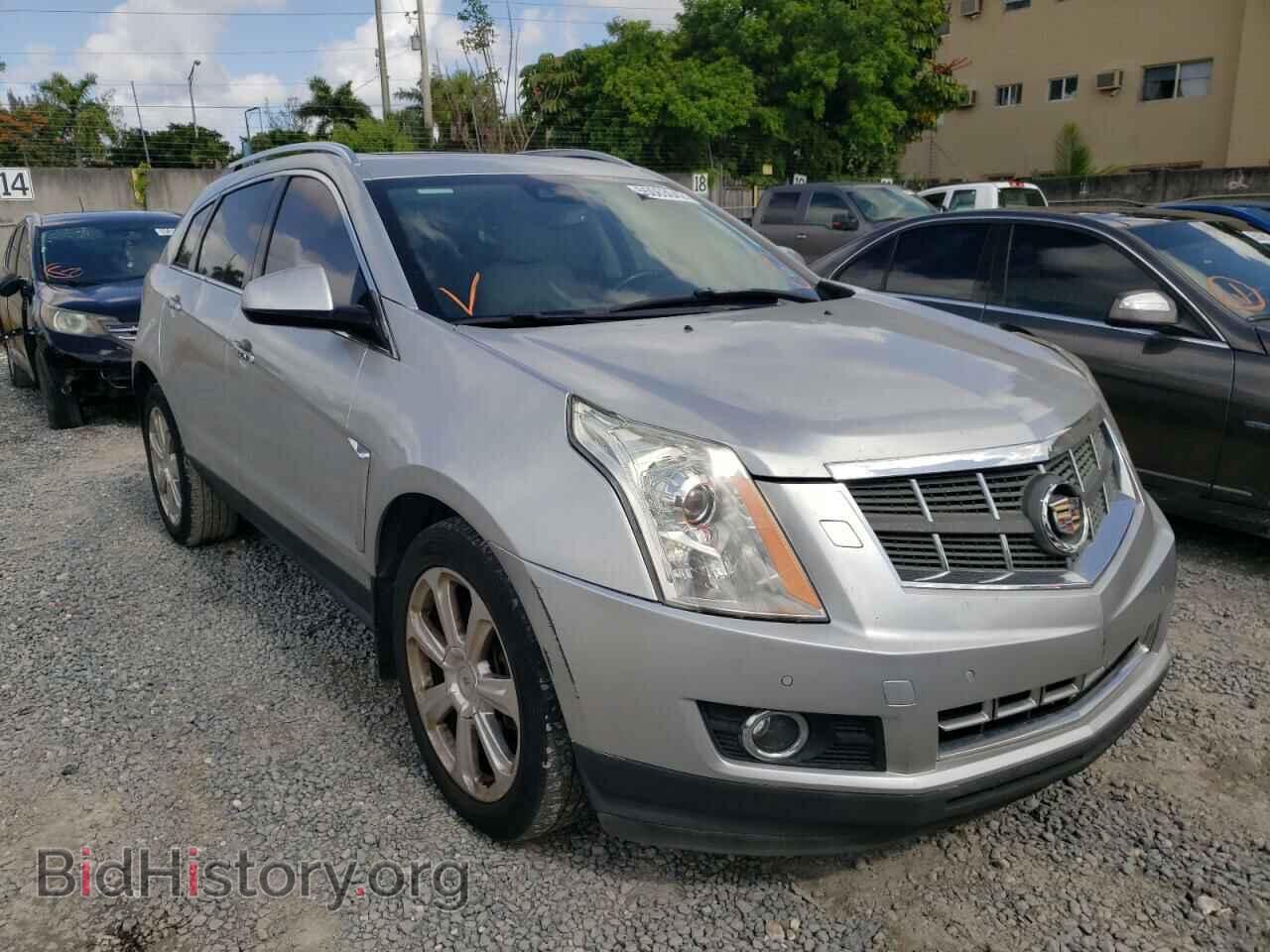 Фотография 3GYFNDE39DS548111 - CADILLAC SRX 2013