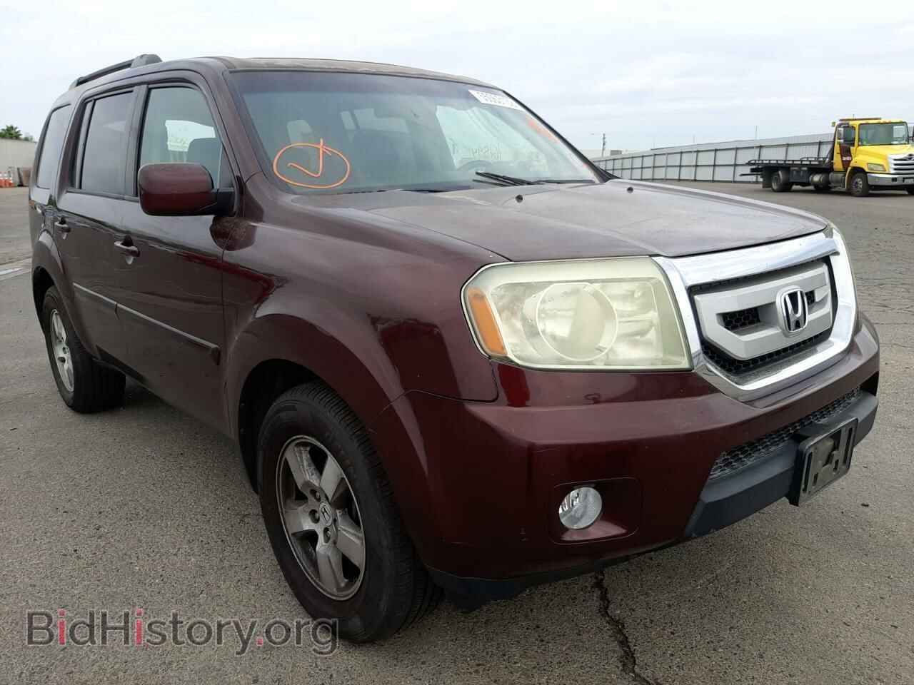 Фотография 5FNYF3H54BB014460 - HONDA PILOT 2011