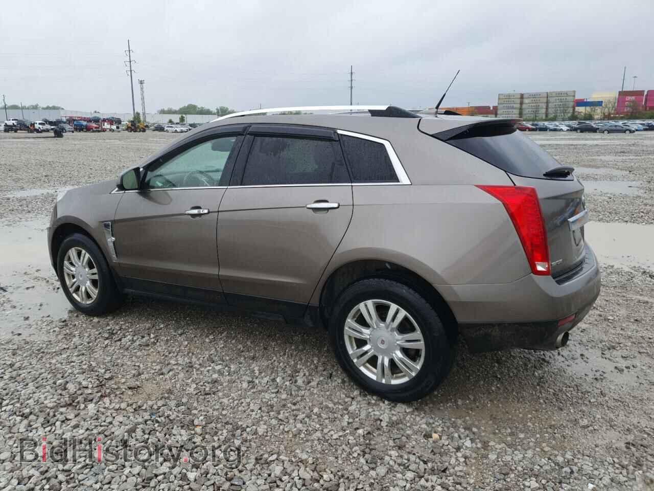 2011 CADILLAC SRX - VIN: 3GYFNAEY7BS553945 - Фото 2