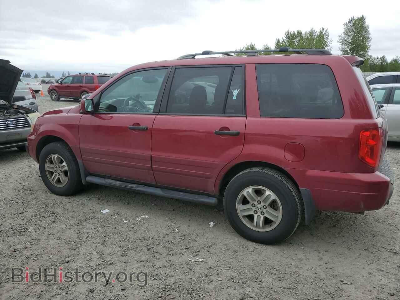 2005 HONDA PILOT - VIN: 2HKYF18605H520211 - Фото 2
