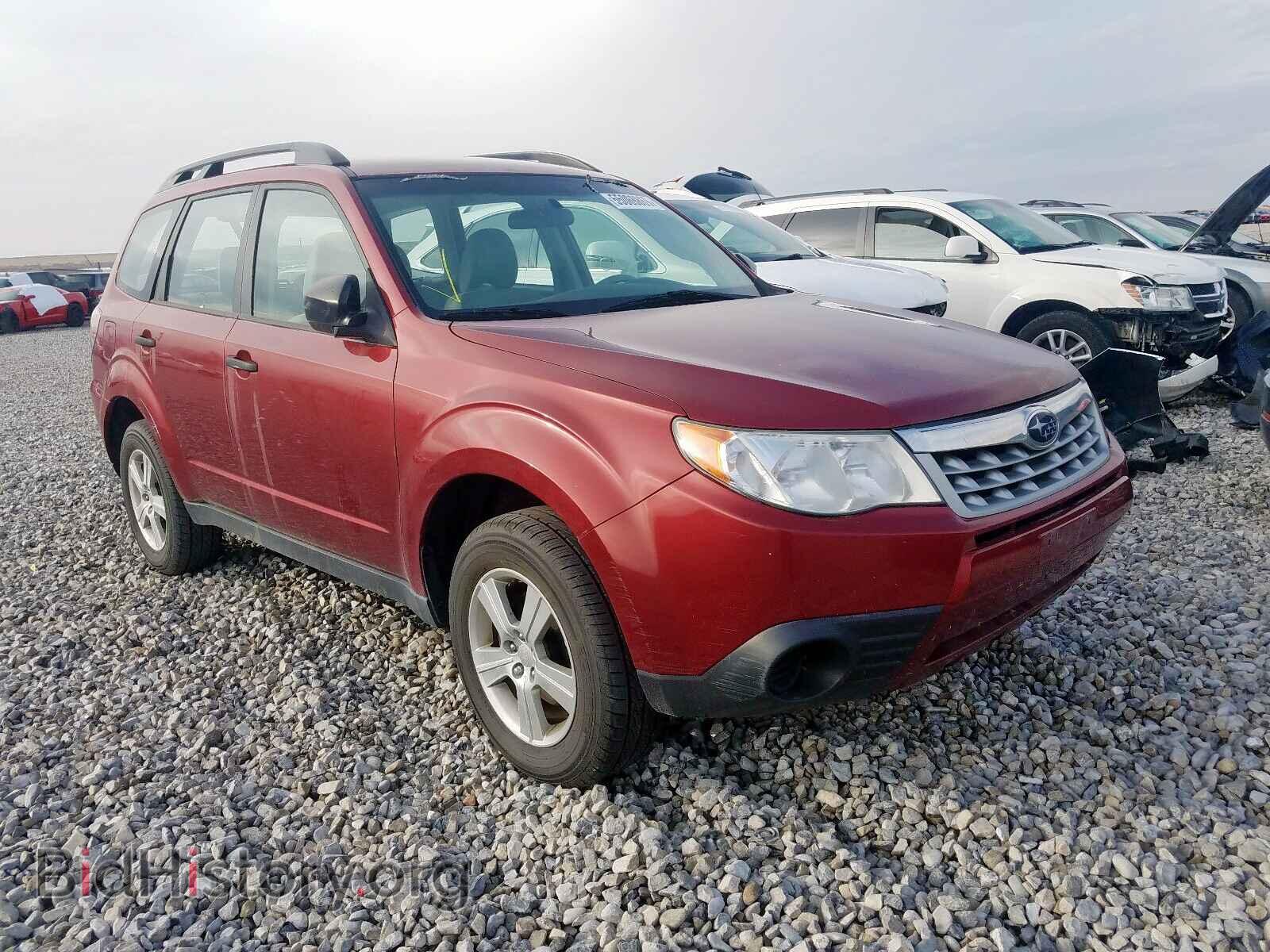 Photo JF2SHABC4BH736346 - SUBARU FORESTER 2011