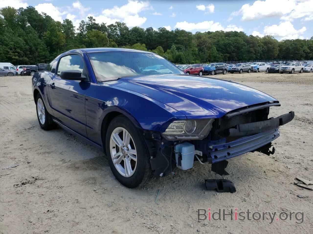 Photo 1ZVBP8AM9D5240660 - FORD MUSTANG 2013