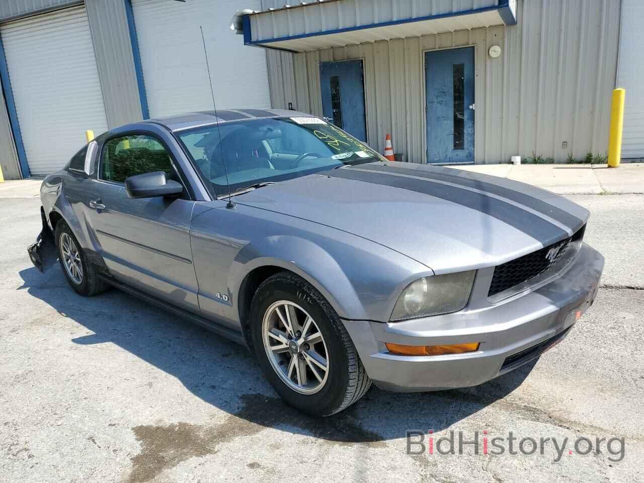 Photo 1ZVFT80N165108826 - FORD MUSTANG 2006