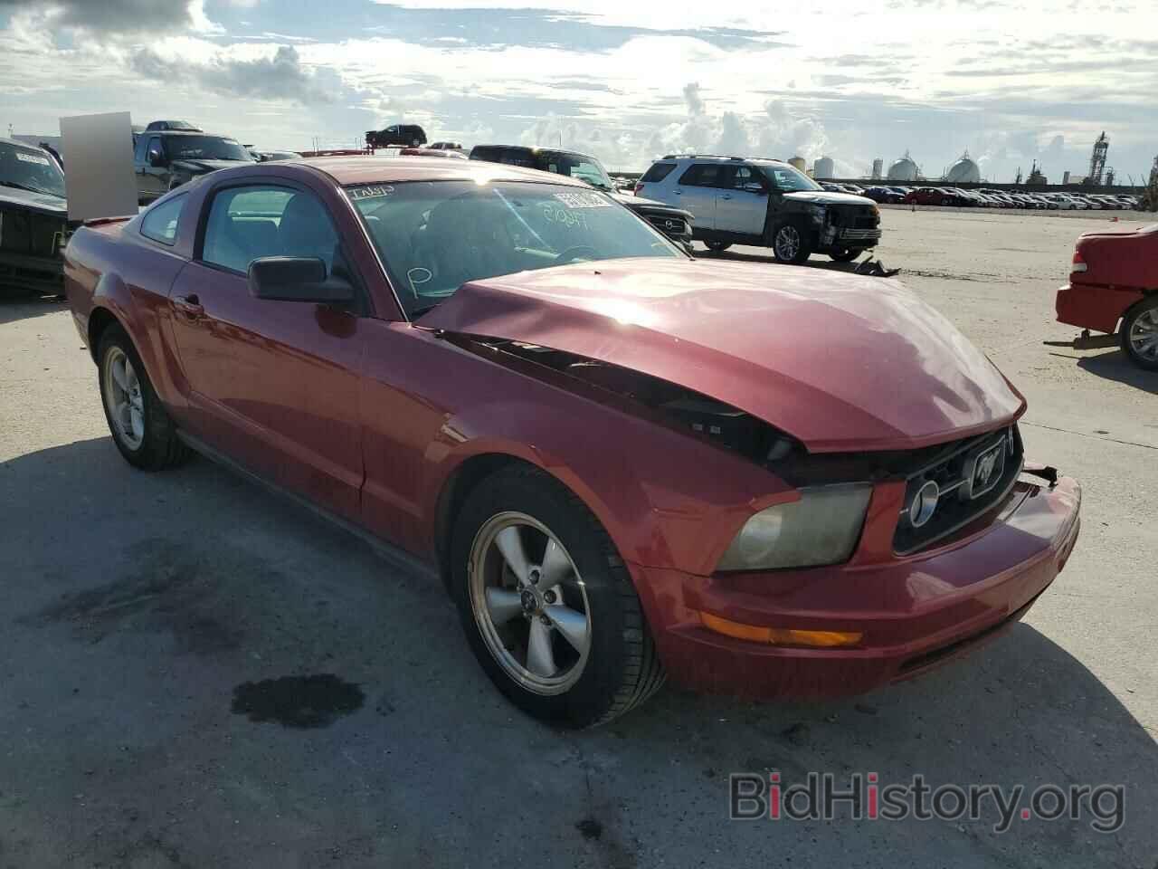 Photo 1ZVHT80N595102430 - FORD MUSTANG 2009