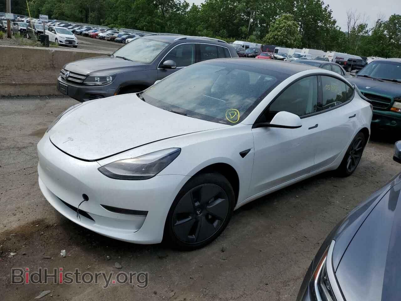 Фотография 5YJ3E1EA3PF510344 - TESLA MODEL 3 2023