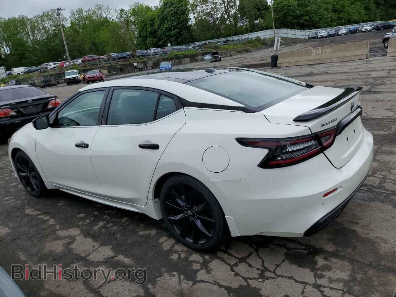 2023 NISSAN MAXIMA - VIN: 1N4AA6EV7PC505900 - Фото 2