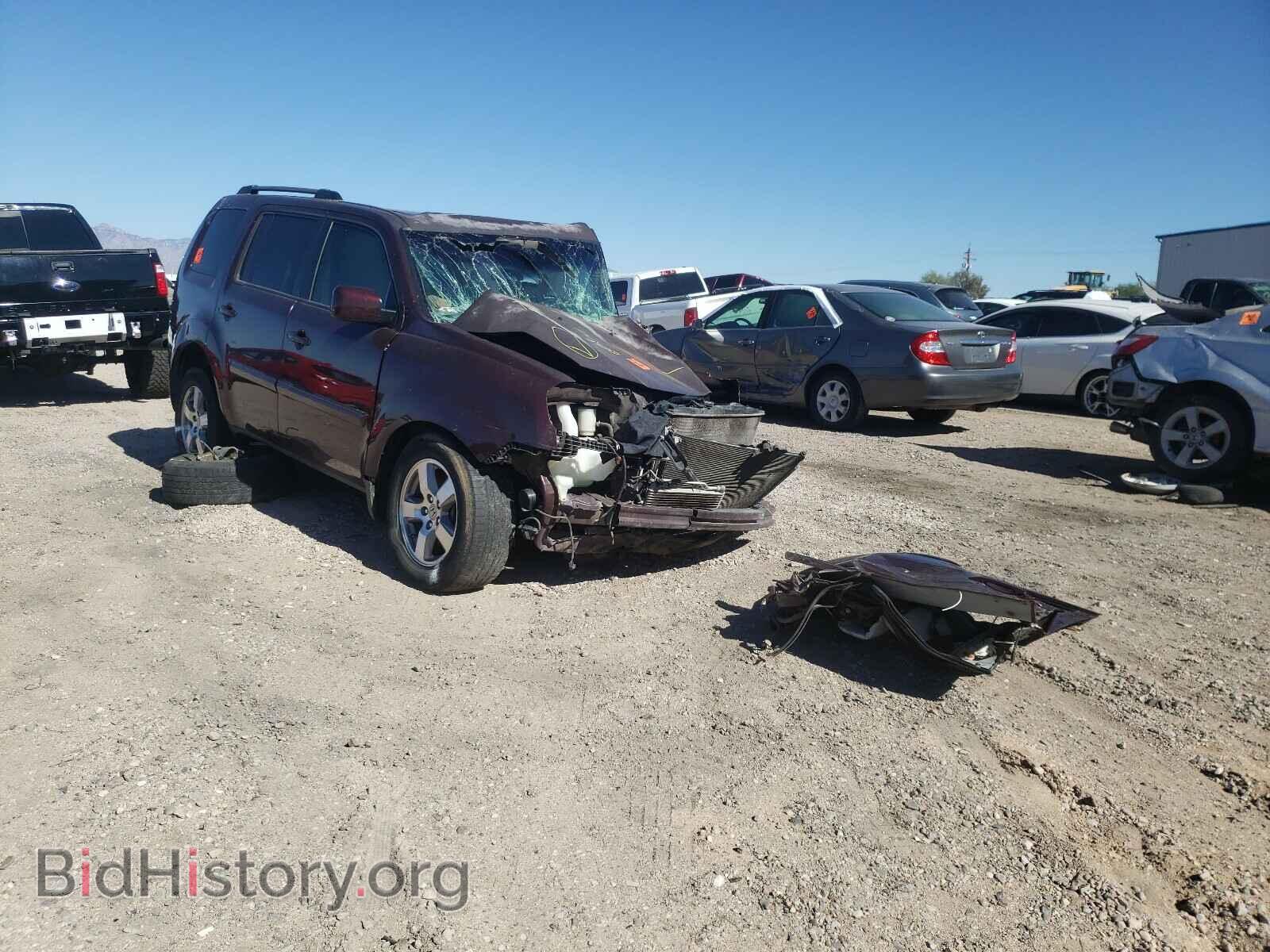 Фотография 5FNYF3H53BB009282 - HONDA PILOT 2011