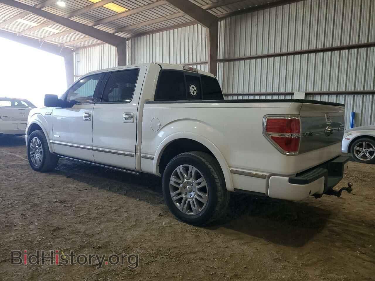 2013 FORD F-150 - VIN: 1FTFW1CT0DFB36698 - Фото 2