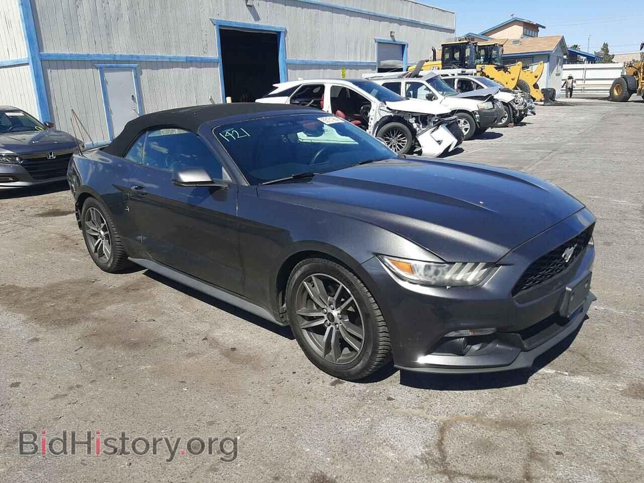 2017 FORD ALL Models - VIN: 1FATP8UH1H5204883 - Фото 4