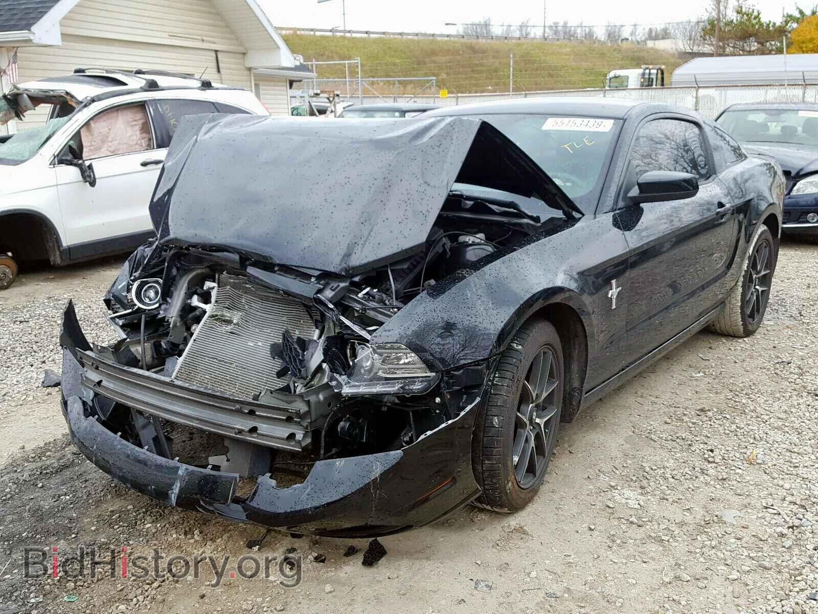 2014 FORD MUSTANG - VIN: 1ZVBP8AM0E5319703 - Фото 2