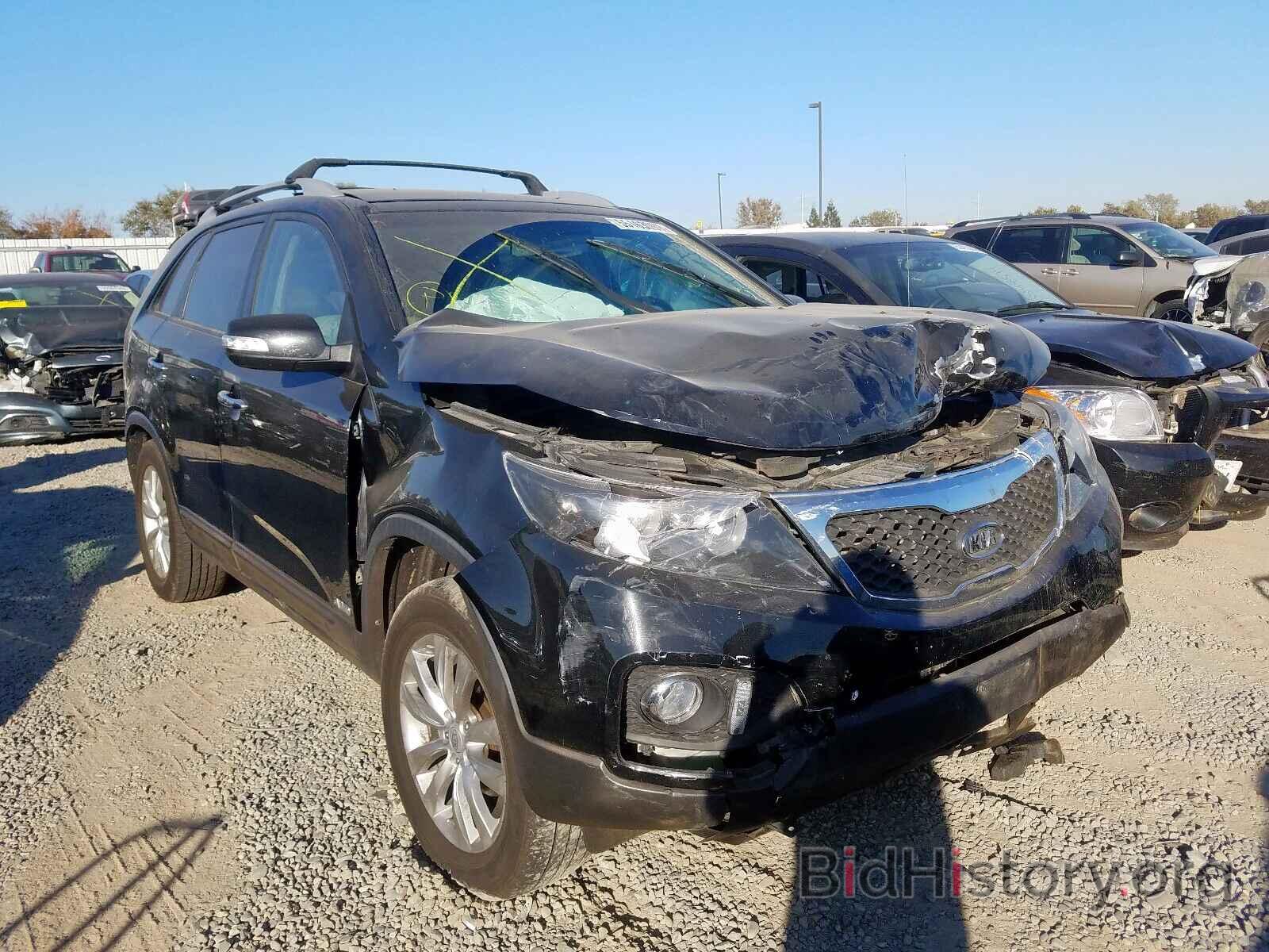 Photo 5XYKUDA20BG052732 - KIA SORENTO EX 2011