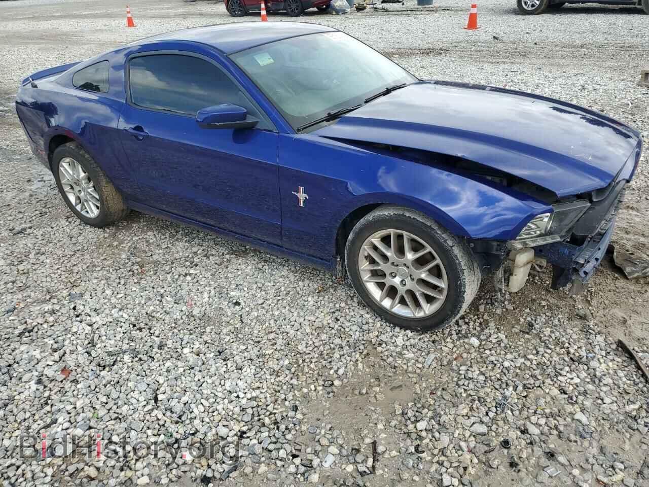 2013 FORD ALL Models - VIN: 1ZVBP8AM3D5279146 - Фото 4