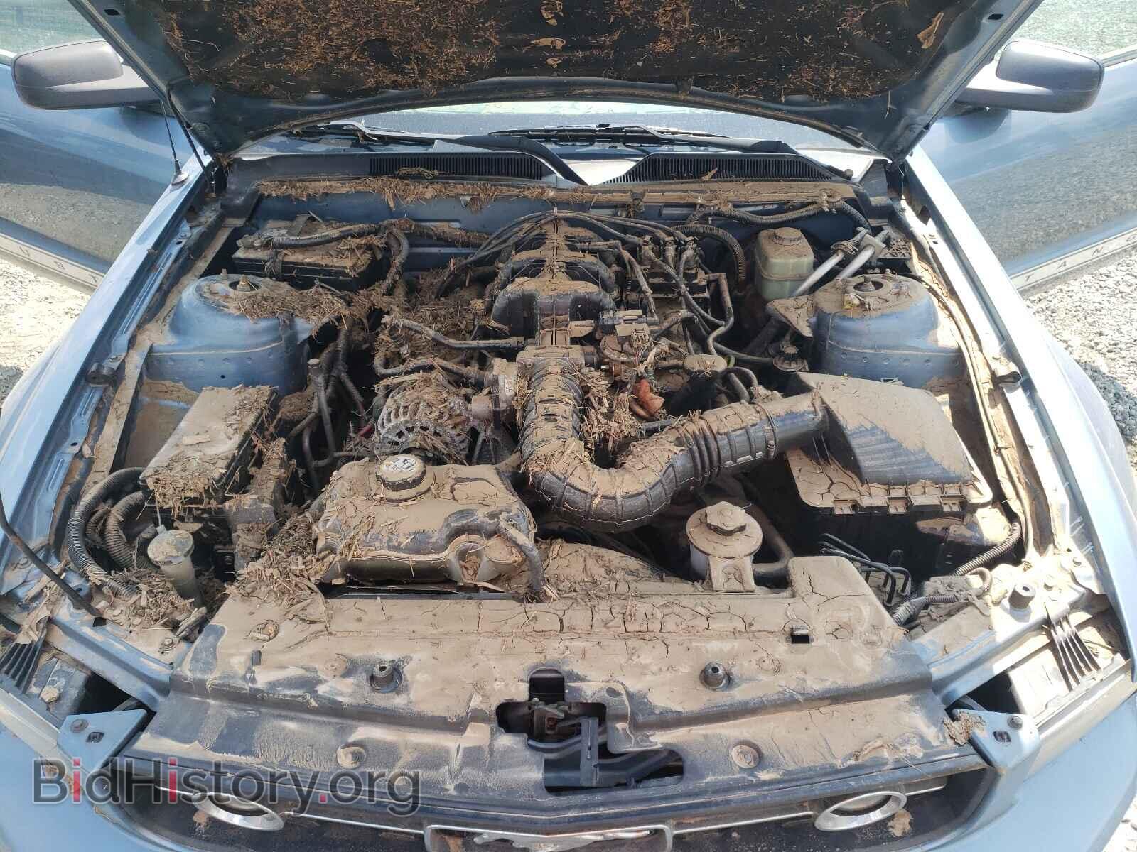 2006 FORD MUSTANG - VIN: 1ZVFT80N265168677 - Фото 7